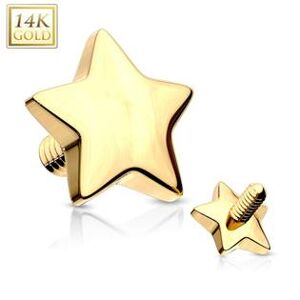 Šperky4U Zlatý piercing - dermál hvězdička 4 mm, Au 585/1000 - ZL01048-04-YG