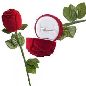 Šperky4U Dárková krabička na prsten - růže na stonku, barva červená - KR0029-RD
