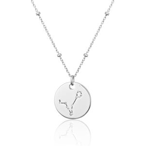 Stříbrný náhrdelník znamení zvěrokruhu ryby SVLN0327XH2BIRY