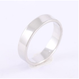 Brilio Silver Jemný stříbrný prsten 422 001 09069 04 51 mm